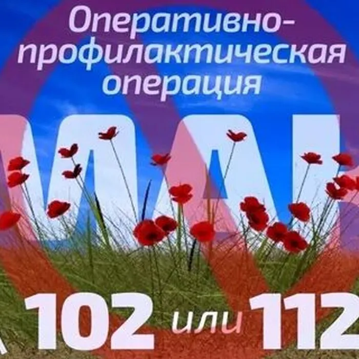 Второй&nbsp;этап операции «Мак»