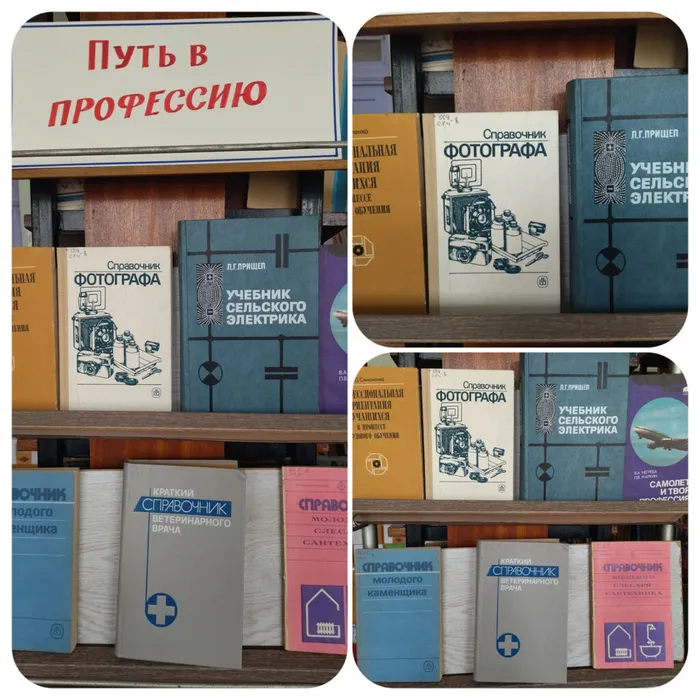 «Путь в профессию» - выставка-совет