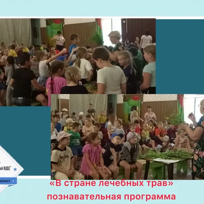 «В стране лечебных трав» - познавательная программа