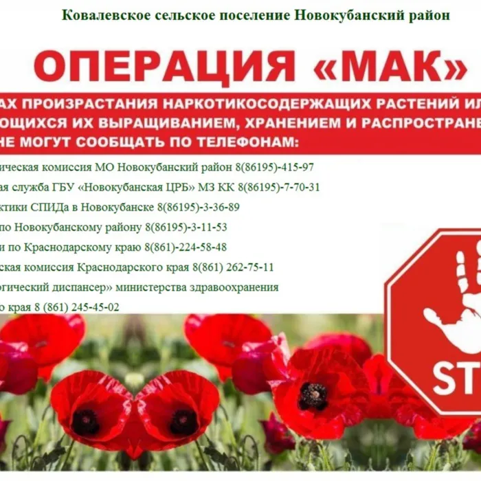 Четвертый этап операции «Мак»