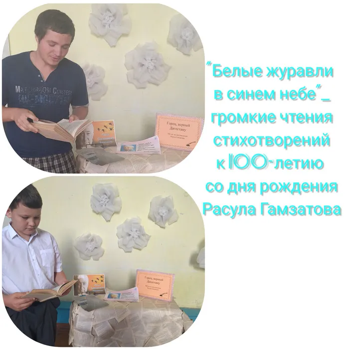 «Белые журавли в синем небе» - громкие чтения стихотворений 