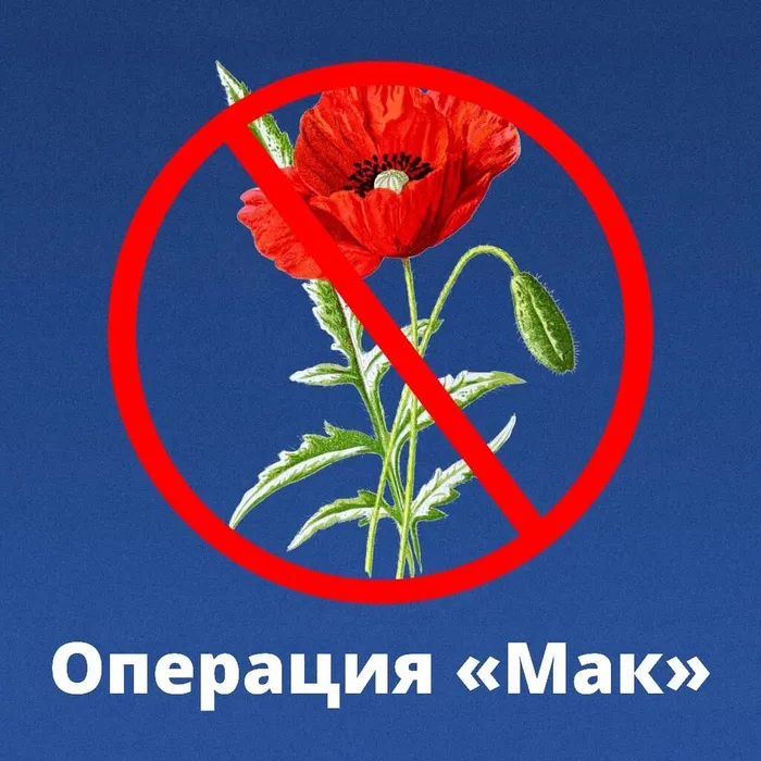 Третий этап операции "Мак"